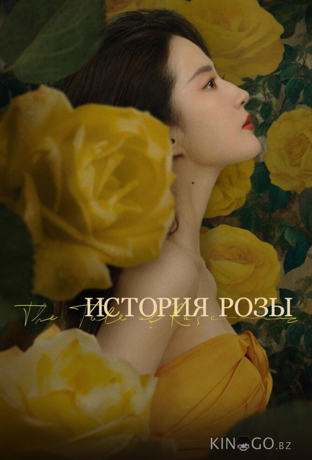 История розы 1 3