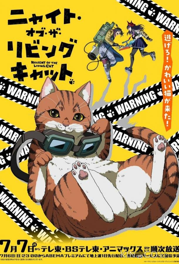 Ночь живых кошаков 1 1
