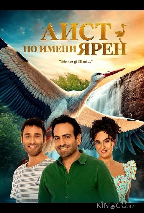 Аист по имени Ярен 